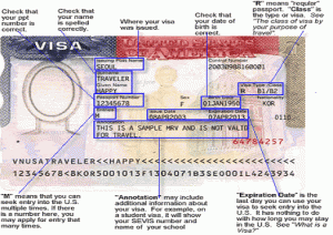 Us visa application